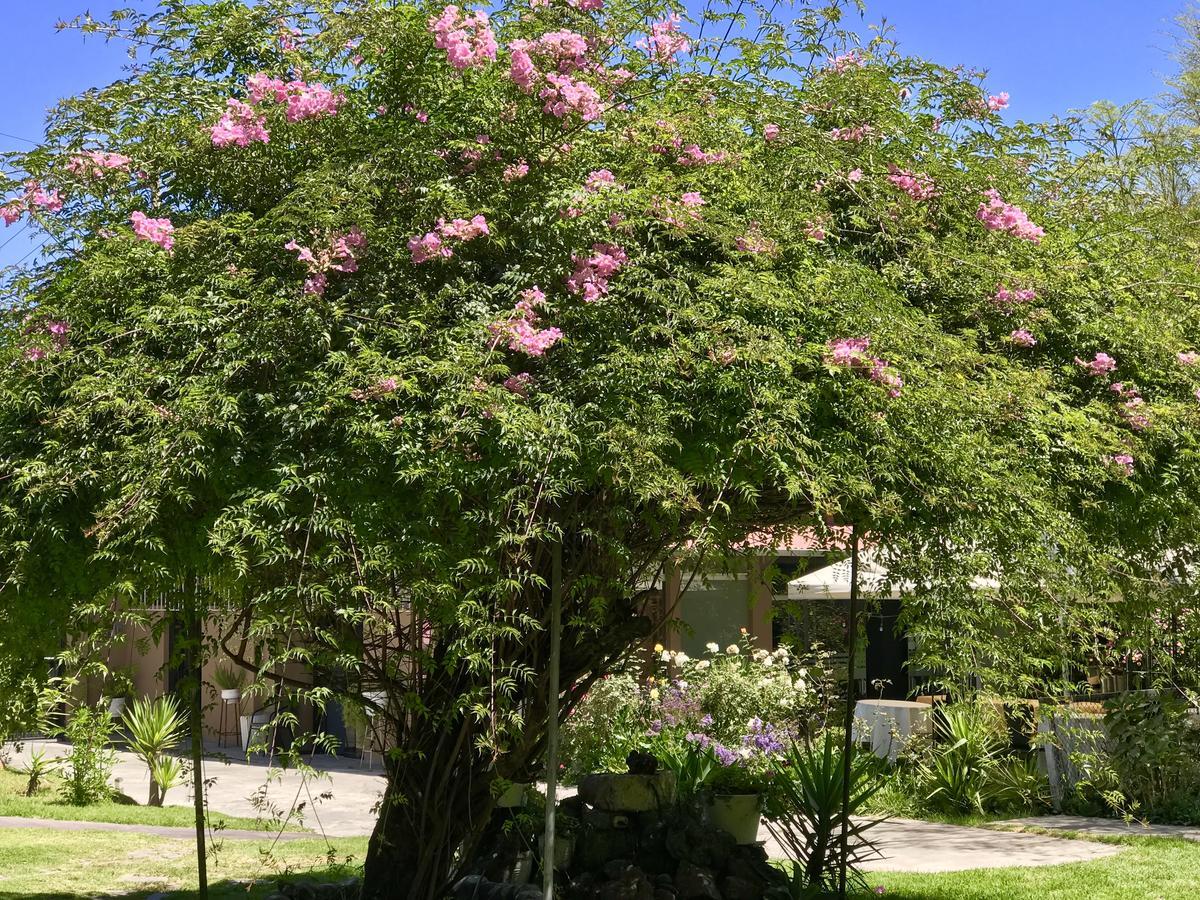 Grace Valley Hotell Arequipa Eksteriør bilde