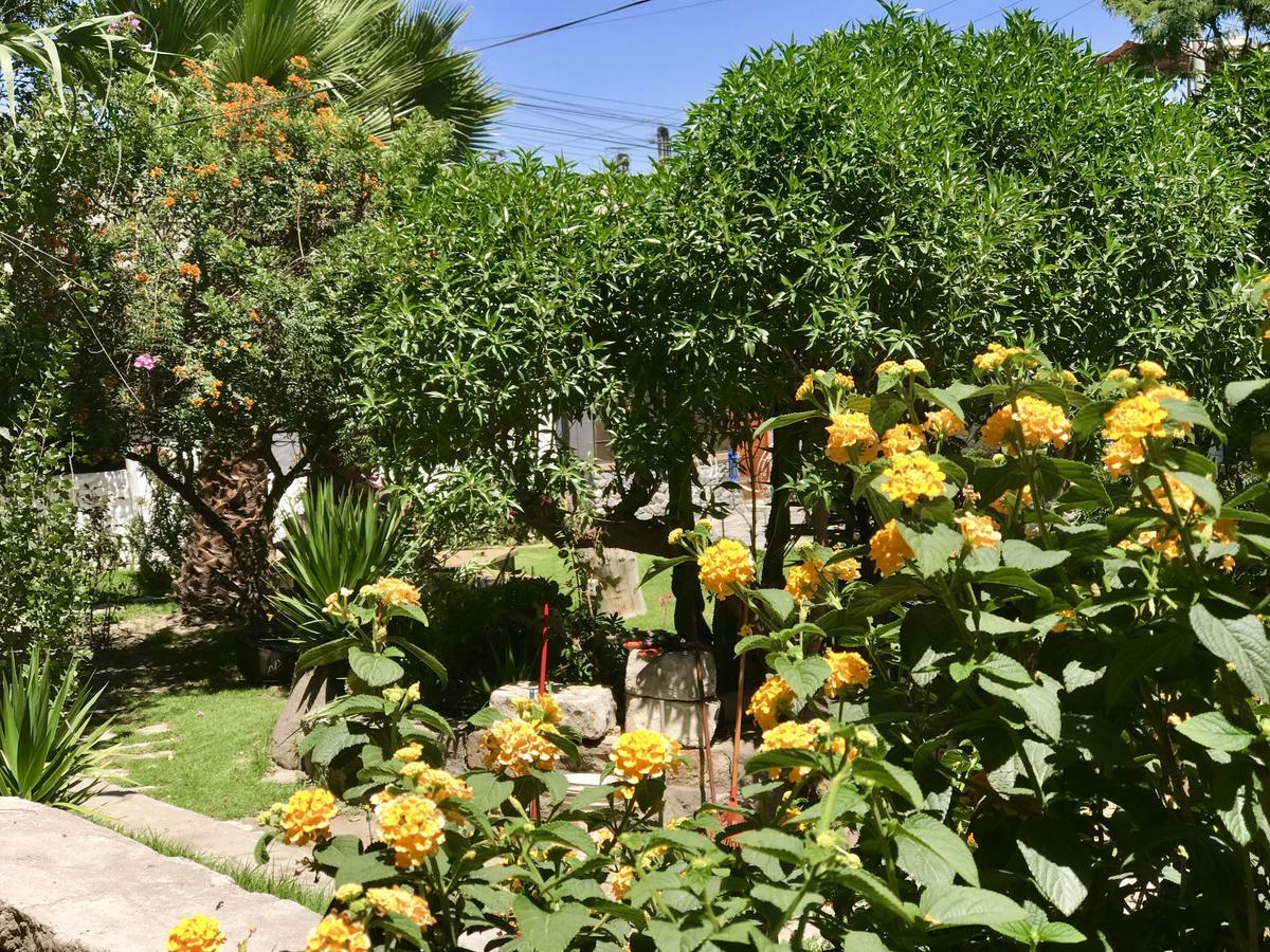 Grace Valley Hotell Arequipa Eksteriør bilde