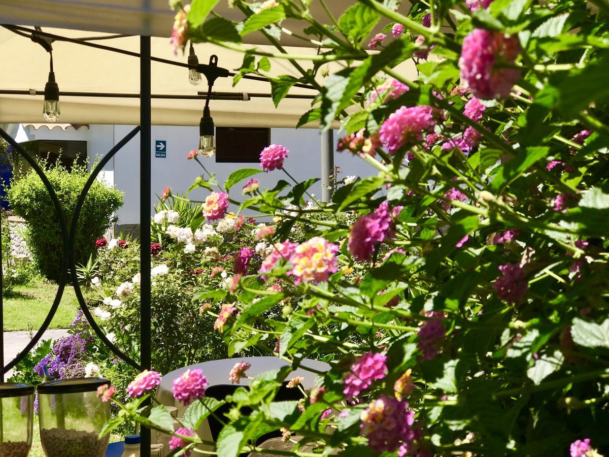 Grace Valley Hotell Arequipa Eksteriør bilde
