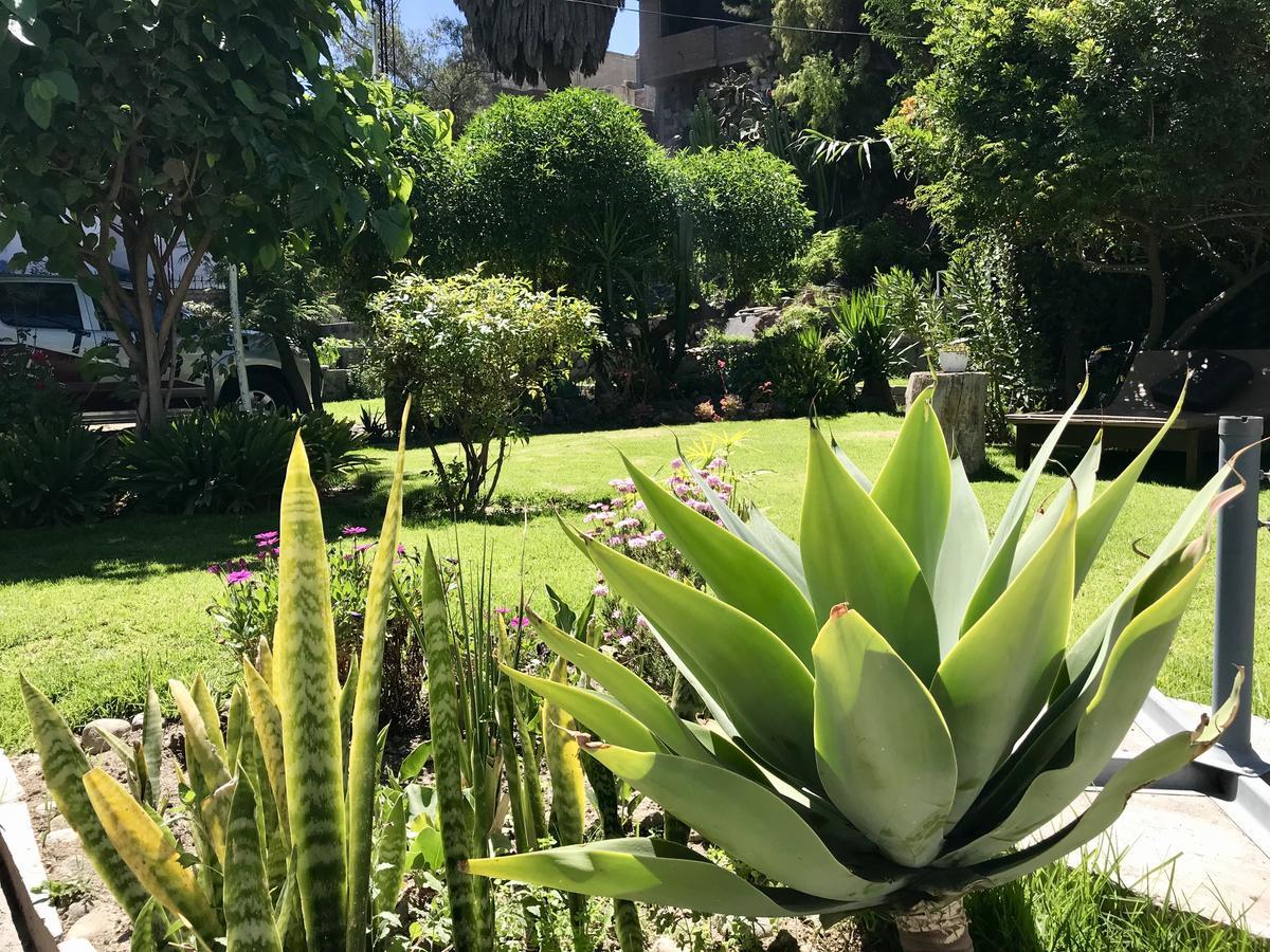 Grace Valley Hotell Arequipa Eksteriør bilde