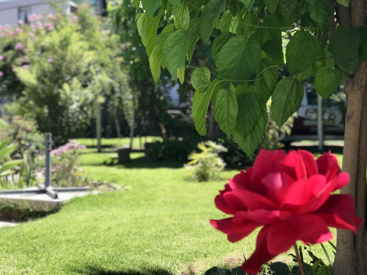 Grace Valley Hotell Arequipa Eksteriør bilde